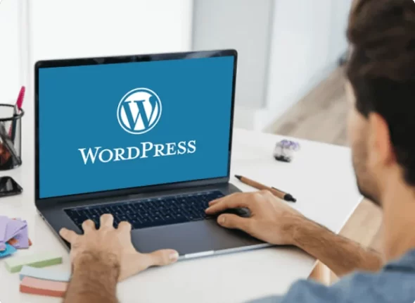 Hire-WordPress-Developers